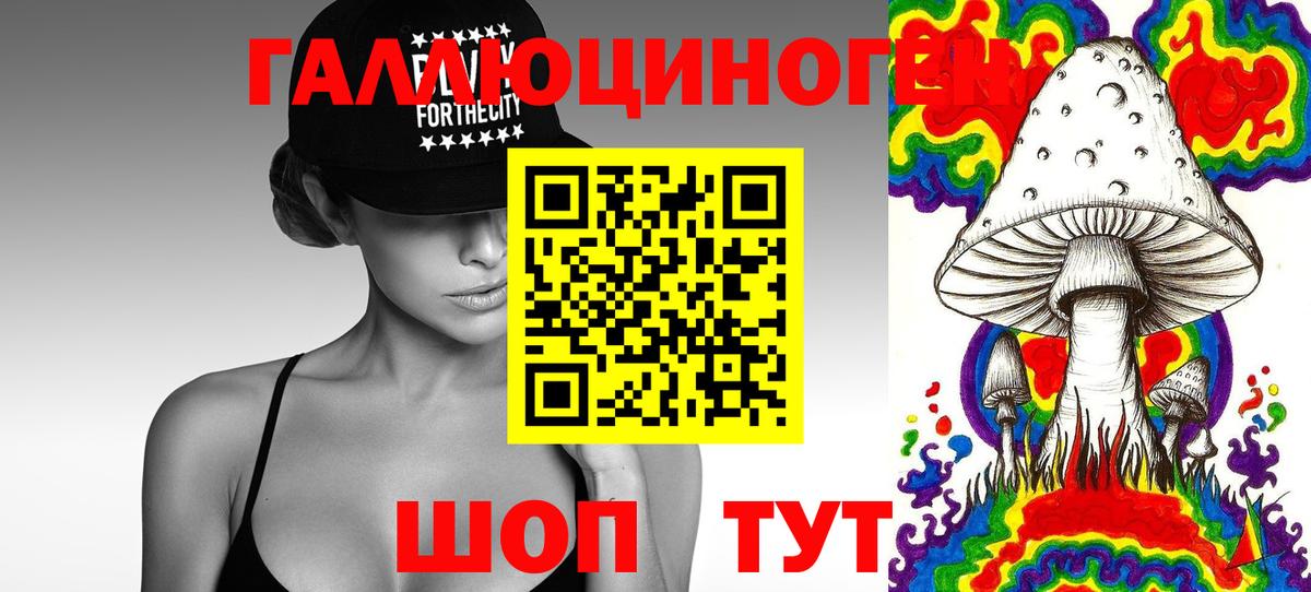 Галлюциногенные грибы Cubensis  Вход с VPN  Александров 