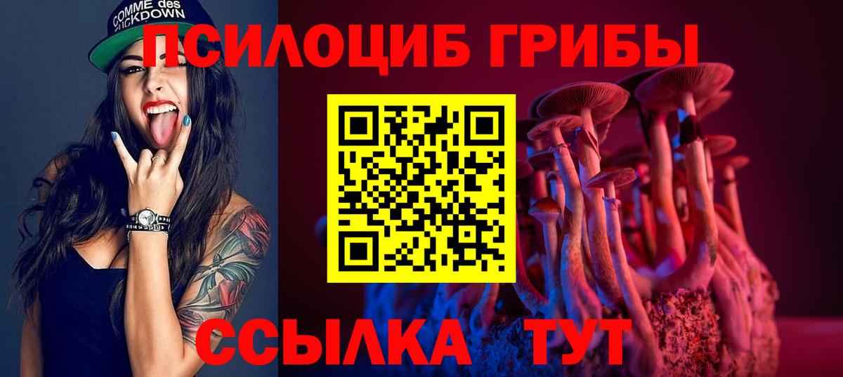 Псилоцибиновые грибы MAGIC MUSHROOMS Александров